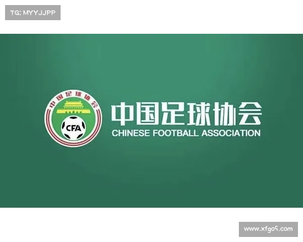 中国足协携手赞助商共同推动足球产业发展与未来繁荣